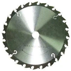 DISCO DESBROZA.MD 24D.250X20X1,5 2420/A